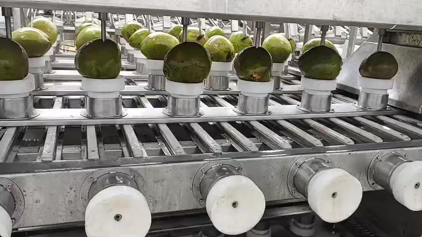 Extração por Agulha